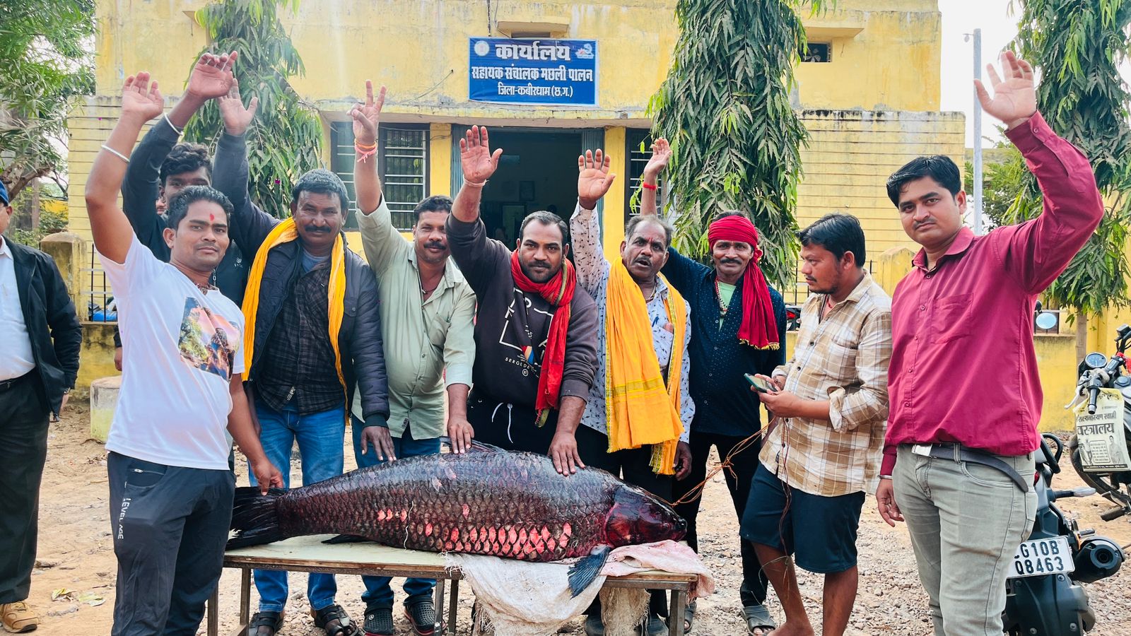 कबीरधाम : जिले के सरोदा जलाशय में मछुआरों के जाल में मिला 6 फिट, 65 किलों की बड़ी मछली, देखें वीडियो सरोदा बांध में मिला 6 फिट का मछली